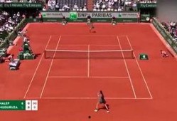 体育圈人,激情燃烧的岁月