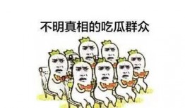 吃瓜群众,吃瓜群众眼中的明星生活